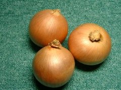 玉ねぎ 写真